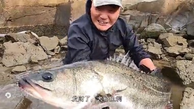 百万粉大V500斤猪血放大坑，拣货捡到手软！